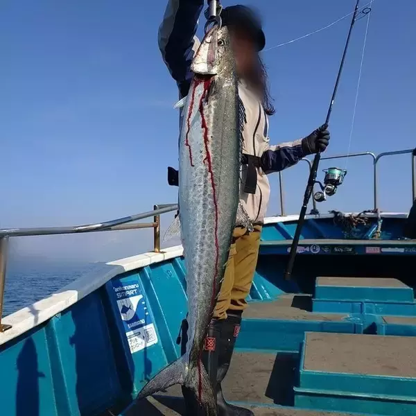「【釣果速報】和歌山県heyheyshipで83cmの巨大ブリ釣れる！まるまる太ったメジロもキャッチ！順調にサイズアップしている青物をキャッチしに行こう！」の画像