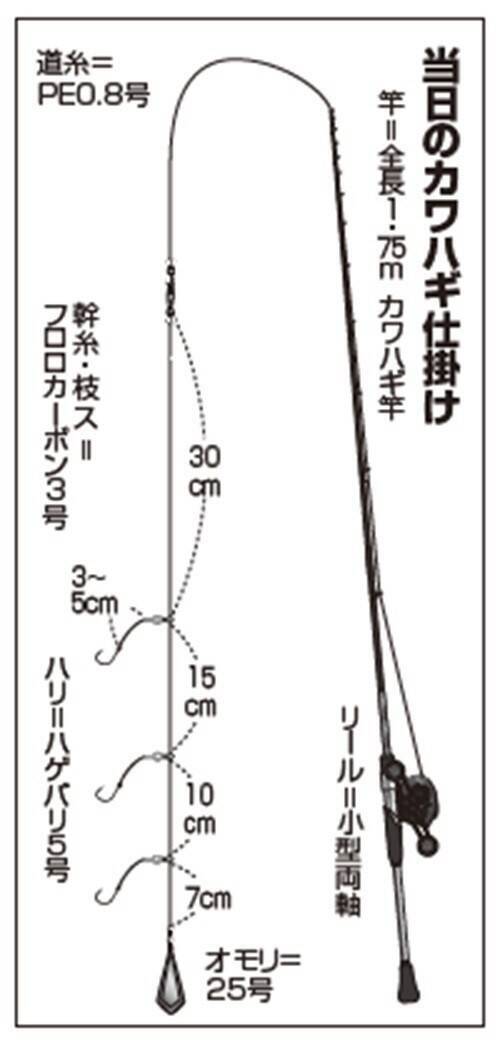 アタリを求めて試行錯誤　難しくて面白いカワハギ
