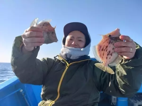 【釣果速報】千葉県福丸がチャンス捉えた！最大29cmのデカハギキャッチ！冬の絶品カワハギを今すぐ捕まえに行こう！