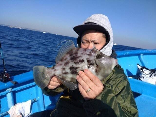 【釣果速報】千葉県福丸がチャンス捉えた！最大29cmのデカハギキャッチ！冬の絶品カワハギを今すぐ捕まえに行こう！