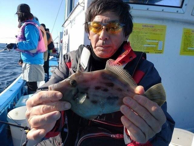 【釣果速報】千葉県福丸がチャンス捉えた！最大29cmのデカハギキャッチ！冬の絶品カワハギを今すぐ捕まえに行こう！