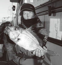 確実に「鯛」を釣るなら一つテンヤマダイで決まり！