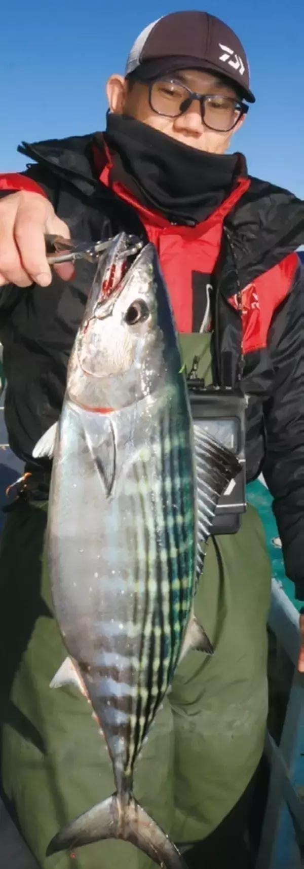 「確実に「鯛」を釣るなら一つテンヤマダイで決まり！」の画像