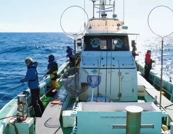 「確実に「鯛」を釣るなら一つテンヤマダイで決まり！」の画像