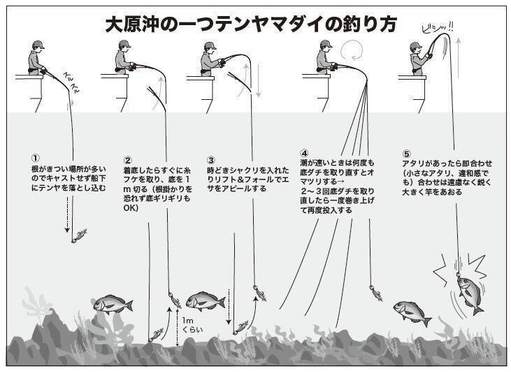 確実に「鯛」を釣るなら一つテンヤマダイで決まり！