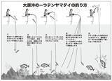 「確実に「鯛」を釣るなら一つテンヤマダイで決まり！」の画像5