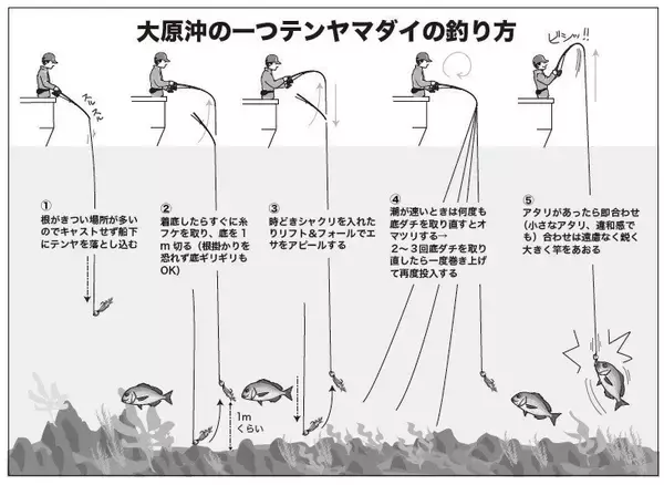 「確実に「鯛」を釣るなら一つテンヤマダイで決まり！」の画像