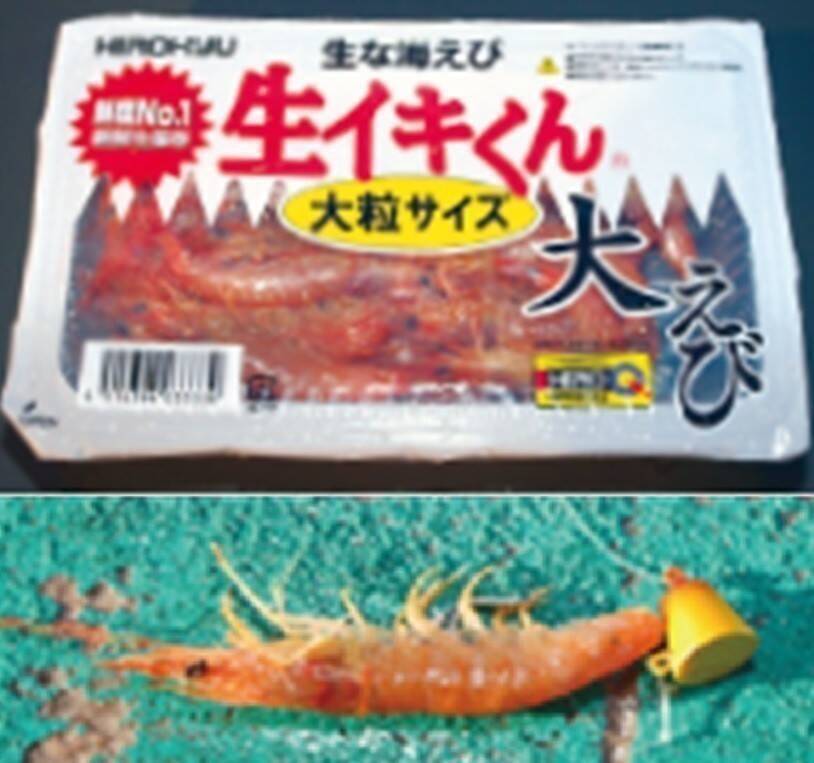 確実に「鯛」を釣るなら一つテンヤマダイで決まり！