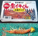 「確実に「鯛」を釣るなら一つテンヤマダイで決まり！」の画像6