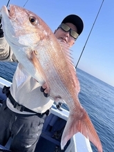 【釣果速報】千葉県新幸丸でヒット連発＆ドデカい4.00kgマダイをゲット！自己記録更新を狙うなら今すぐ乗船だ！