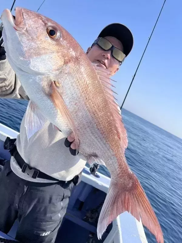 【釣果速報】千葉県新幸丸でヒット連発＆ドデカい4.00kgマダイをゲット！自己記録更新を狙うなら今すぐ乗船だ！