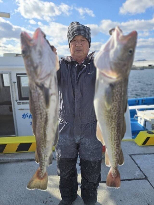 【釣果速報】福島県つりエサ豊漁の船上にタラがこんもり！初心者アングラーさんもお土産ばっちりゲット！記録狙うなら今！