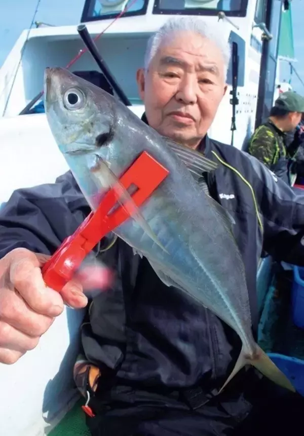「幅広でかアジ絶好調　金谷沖に今すぐ急行」の画像
