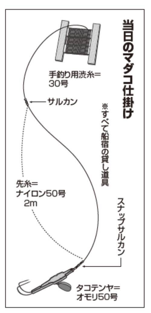 絶好調のマダコに初挑戦手釣りでツ抜けを達成