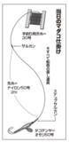 「絶好調のマダコに初挑戦手釣りでツ抜けを達成」の画像2