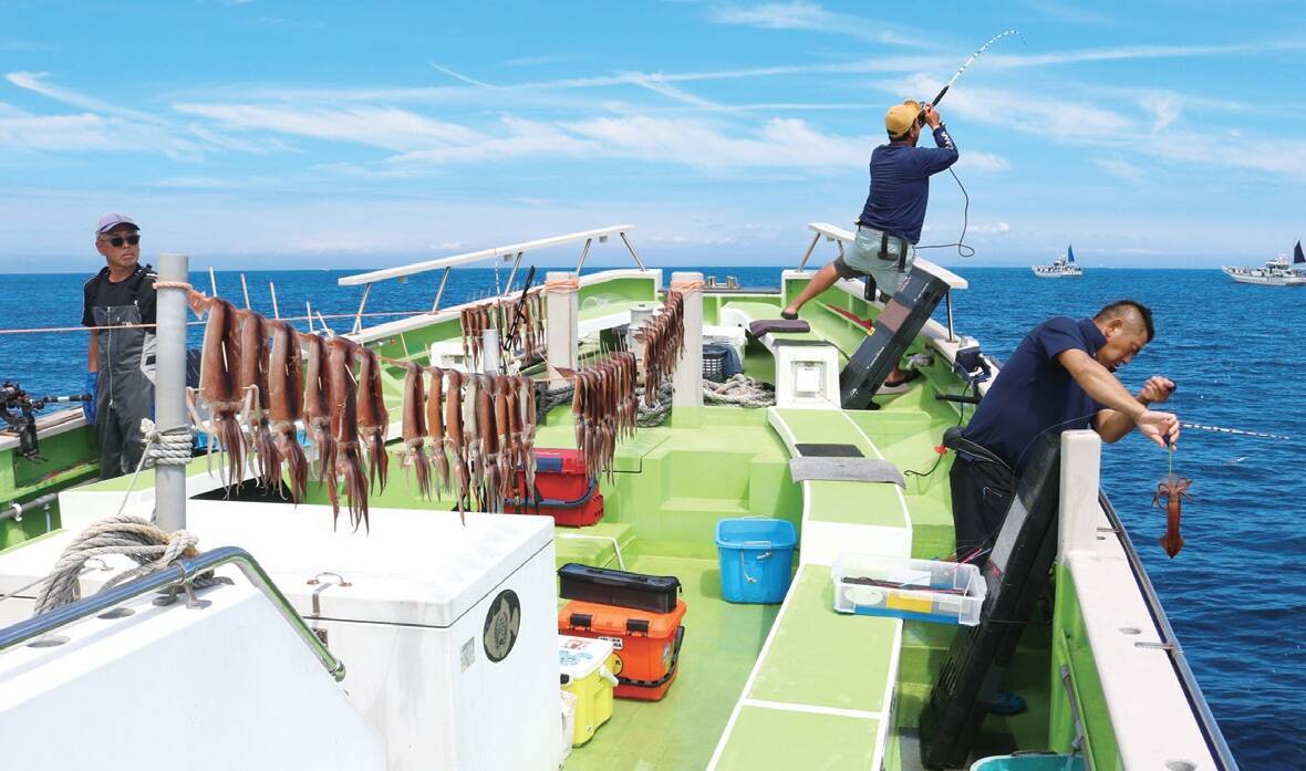 まだまだ熱い！スルメイカ戦線　南房も上昇中