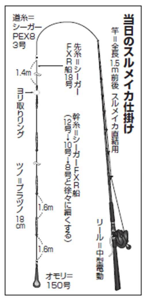 まだまだ熱い！スルメイカ戦線　南房も上昇中