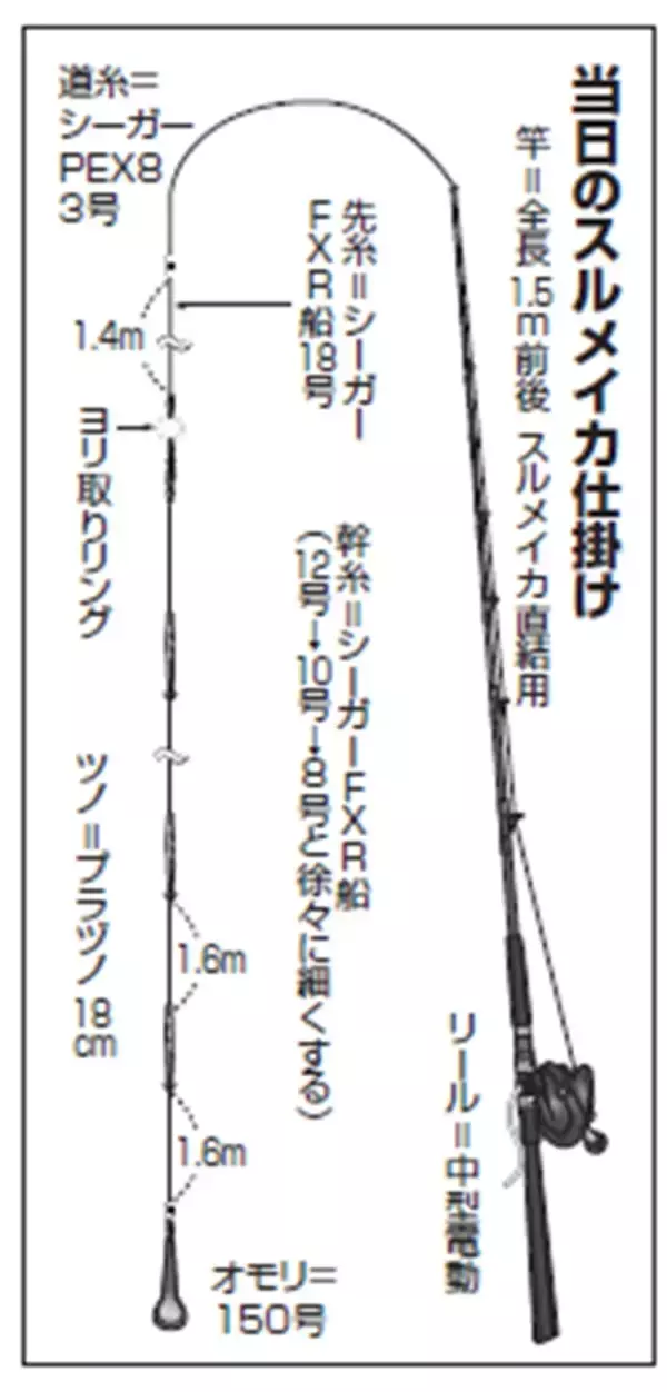「まだまだ熱い！スルメイカ戦線　南房も上昇中」の画像