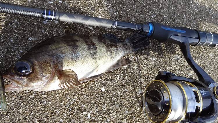 【メバリング】遠くのポイントを釣るためのフロートリグをマスターしたい！