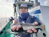 「【釣果速報】千葉県利永丸でショウサイフグ釣行が好調！ショウサイフグを狙うなら今すぐの乗船がおすすめ！」の画像1