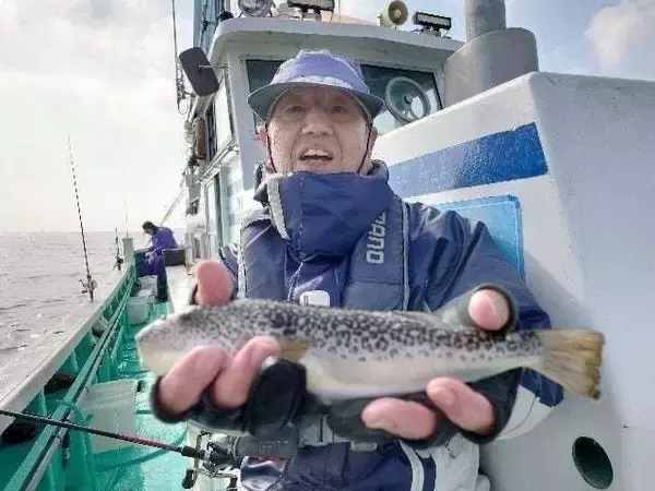 【釣果速報】千葉県利永丸でショウサイフグ釣行が好調！ショウサイフグを狙うなら今すぐの乗船がおすすめ！