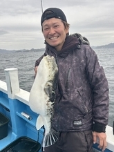 【釣果速報】千葉県宝生丸でトラフグGET！絶品フグを狙いに行ってみませんか！