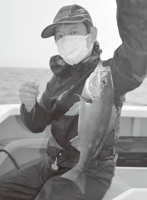 大原イサキ急上昇！数もサイズも大満足