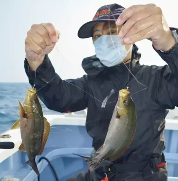 「大原イサキ急上昇！数もサイズも大満足」の画像