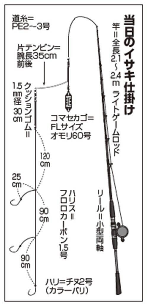 大原イサキ急上昇！数もサイズも大満足
