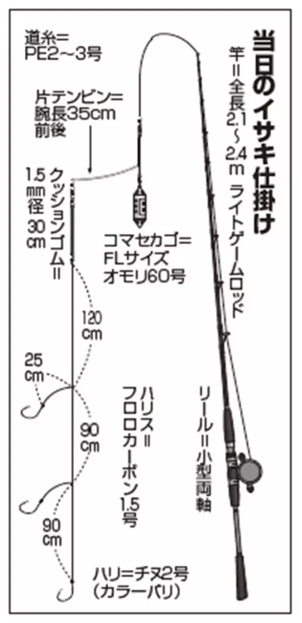「大原イサキ急上昇！数もサイズも大満足」の画像