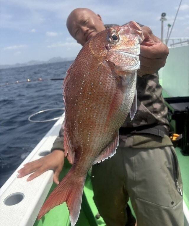 【釣果速報】神奈川県あまさけや丸でマダイGET！メジナ・イサキも！あまさけや丸ならお土産確保間違いなし！