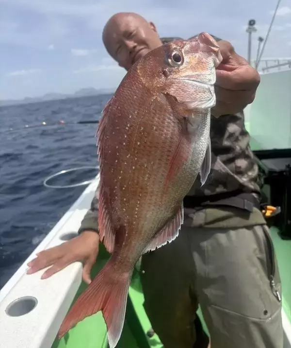 「【釣果速報】神奈川県あまさけや丸でマダイGET！メジナ・イサキも！あまさけや丸ならお土産確保間違いなし！」の画像