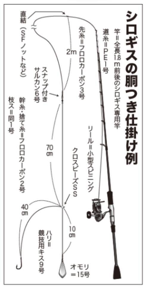 八十八夜からのシロギス型ぞろいの東京湾中ノ瀬束釣りもある本格シーズン