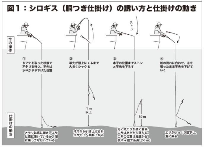 八十八夜からのシロギス型ぞろいの東京湾中ノ瀬束釣りもある本格シーズン