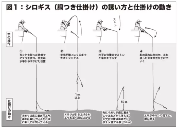 「八十八夜からのシロギス型ぞろいの東京湾中ノ瀬束釣りもある本格シーズン」の画像