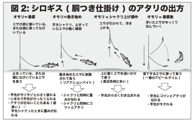 八十八夜からのシロギス型ぞろいの東京湾中ノ瀬束釣りもある本格シーズン