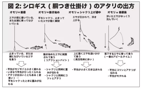「八十八夜からのシロギス型ぞろいの東京湾中ノ瀬束釣りもある本格シーズン」の画像