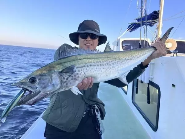 「【釣果速報】東京都船宿さわ浦で人気魚種サワラ・サゴシを全制覇！！船長の機転と手腕で一日大興奮の釣行に！」の画像