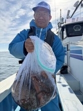 【釣果速報】茨城県清栄丸でマダコ釣り好調！連発で大興奮！週末はマダコ釣りで決まり！