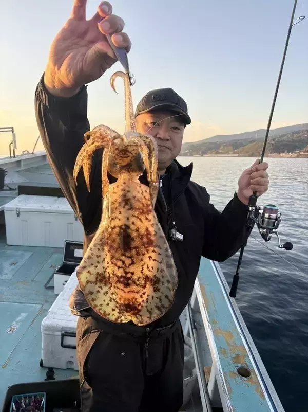 【釣果速報】風にも負けず、神奈川県藤八丸でアオリイカをキャッチ！あなたもアオリイカを狙ってみよう！