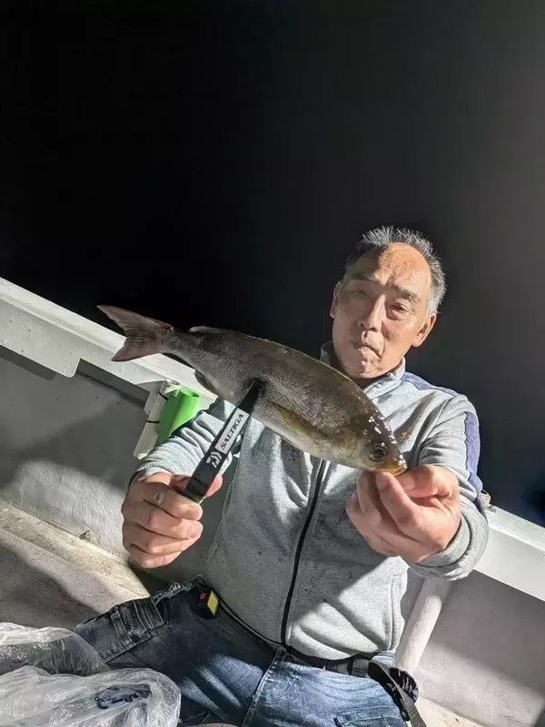 【釣果速報】和歌山県SevenSWellでイサギやアジを好調にゲット！人気魚種を狙うなら今がチャンス！