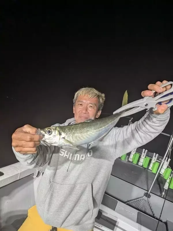 「【釣果速報】和歌山県SevenSWellでイサギやアジを好調にゲット！人気魚種を狙うなら今がチャンス！」の画像