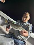 「【釣果速報】和歌山県SevenSWellでイサギやアジを好調にゲット！人気魚種を狙うなら今がチャンス！」の画像3