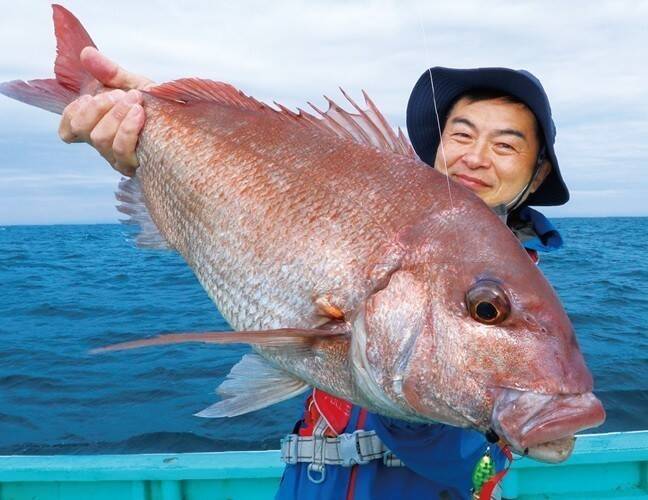 内房のSLJ