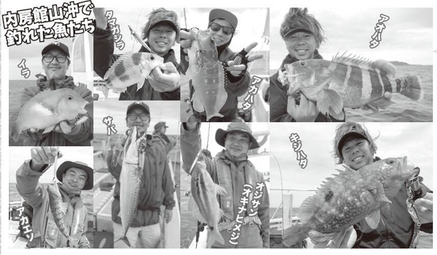 内房のSLJ