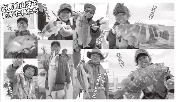 「内房のSLJ」の画像