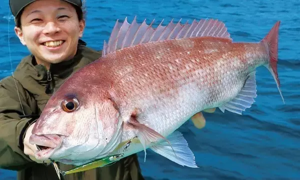 「内房のSLJ」の画像