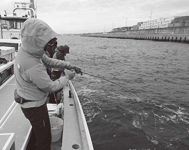 東京湾に春を告げる風物詩　出足良好！ エビメバル開幕
