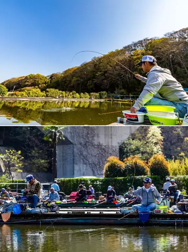 「200尾！？がまかつのへら竿「千早」7尺が勇躍！これぞ“ヤマシンセット”の真骨頂、バラケも食わせる超絶セットが炸裂！！」の画像