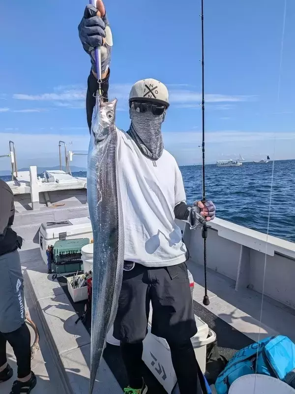 「【釣果速報】和歌山県SevenSWellでタチウオ全員安打達成！仲間とわいわい釣りを楽しみたいならSevenSWellに決まり！」の画像